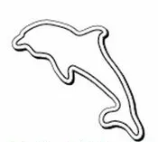 Dolphin NoteKeeperâ¢ Magnet - 20 Mil (2 3/4"x3")