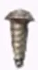 Phillips Screw
