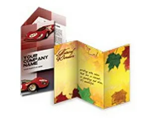 Sell Sheet Flyer/ Brochures (8.5"x11")